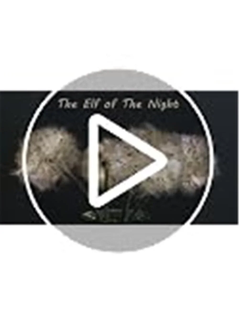 Artificial Dandelion Flowers with LED Lights with Timer Faux Dandelion Flowers